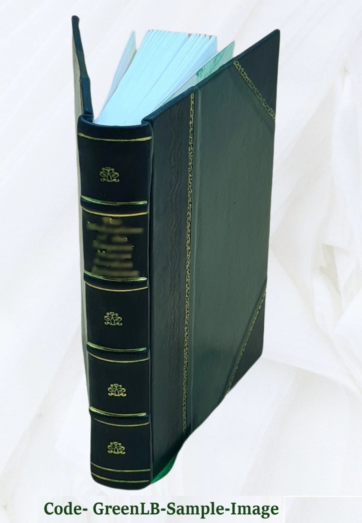 bindon parva 1926 [Leather Bound]