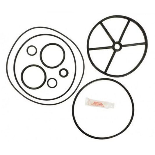 APC APCK1069 O-Ring & Gasket Kit for 2" Side & Top Backwash Valve