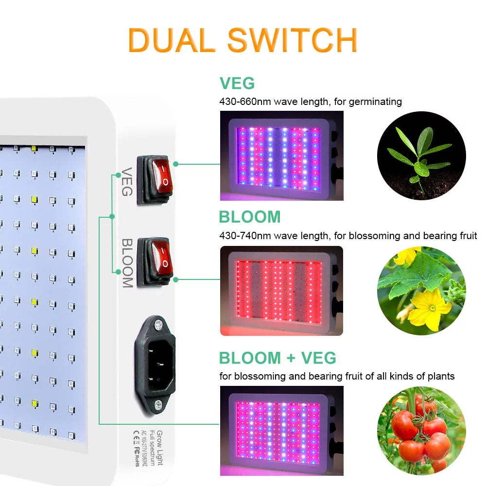 2000W LED Grow Light for Indoor Veg Plants Growing Lamp 312LEDs Full Spectrum IP65 Waterproof for Seedlings Flowers Greenhouse