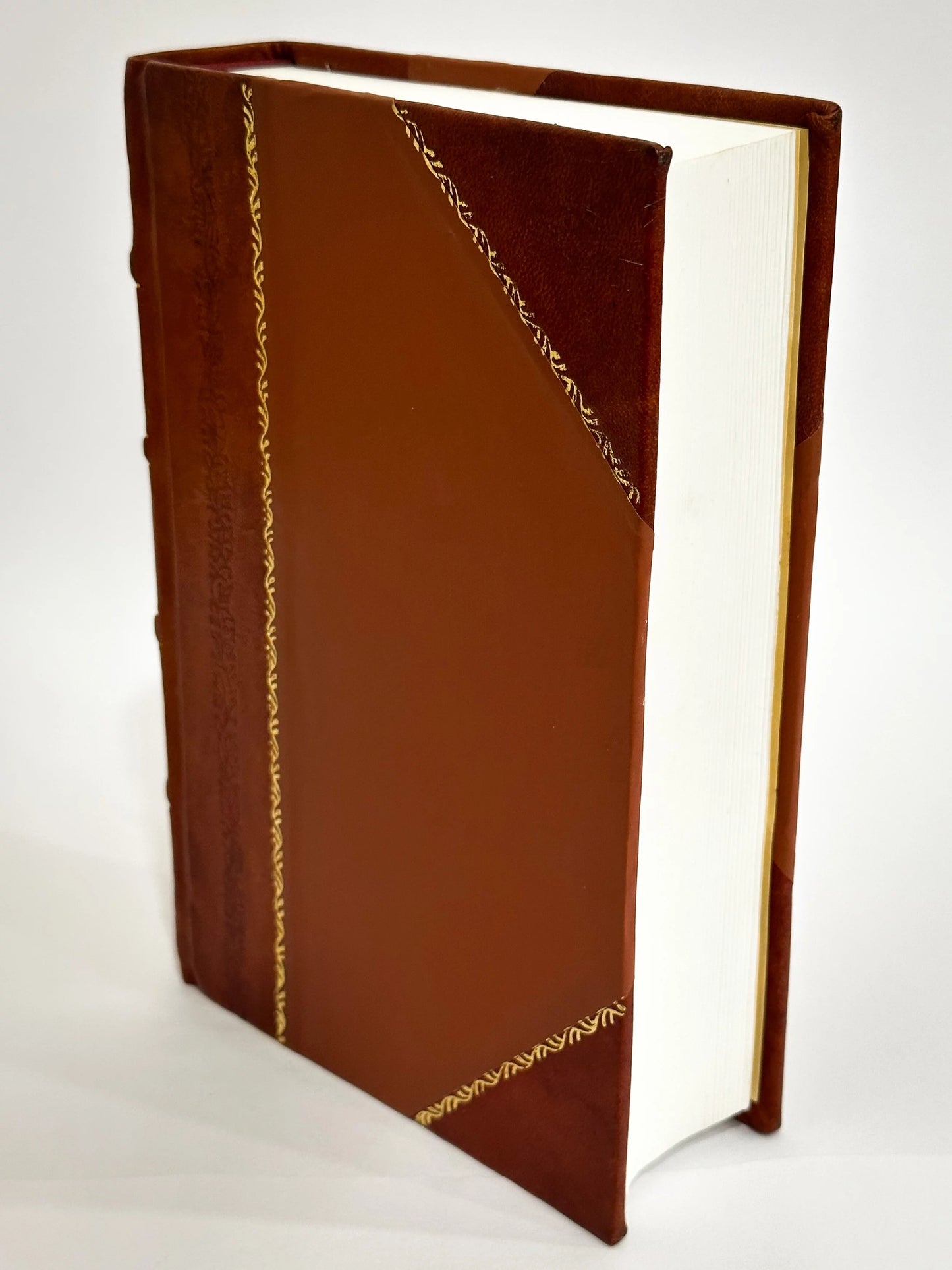 Viaggio in Italia : Nuovissima Guida Descrittiva Storico-Statistica : Coll'Indicazione Delle Poste, Strade Ferrate, Battelli a Vapore, Diligenze, Ecc., Ecc. / Fabi, Massimo (1860) [Leather Bound]