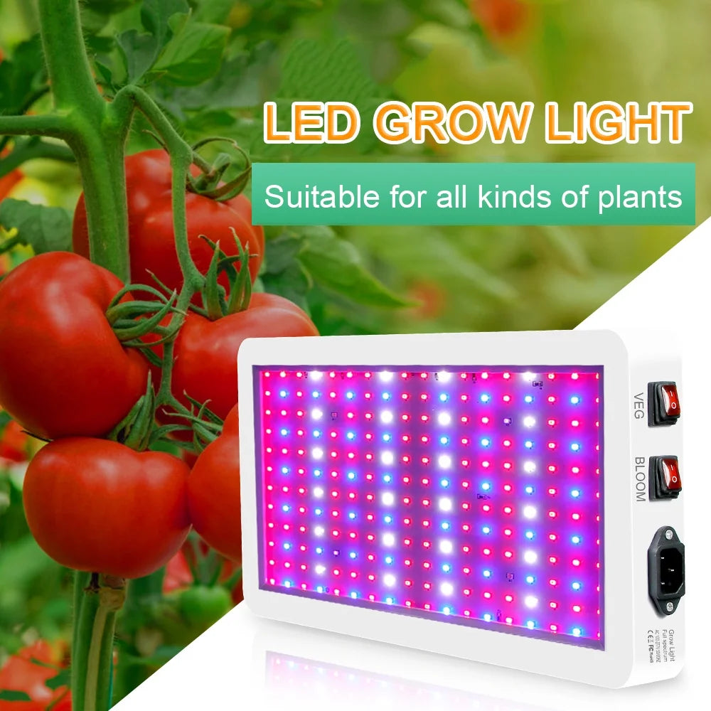 2000W LED Grow Light for Indoor Veg Plants Growing Lamp 312LEDs Full Spectrum IP65 Waterproof for Seedlings Flowers Greenhouse