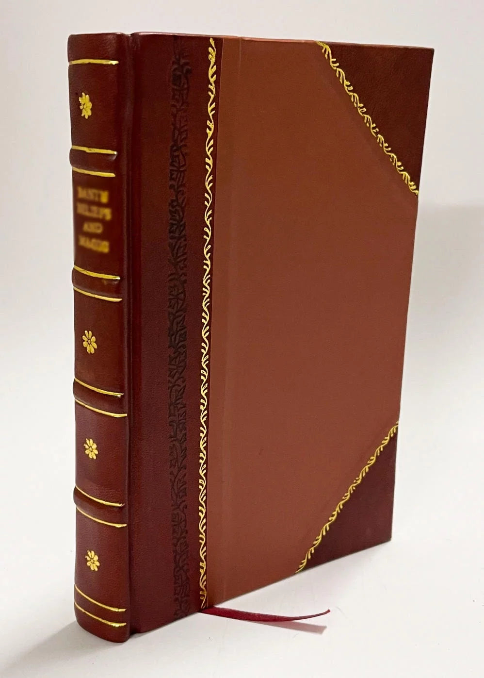 Viaggio in Italia : Nuovissima Guida Descrittiva Storico-Statistica : Coll'Indicazione Delle Poste, Strade Ferrate, Battelli a Vapore, Diligenze, Ecc., Ecc. / Fabi, Massimo (1860) [Leather Bound]