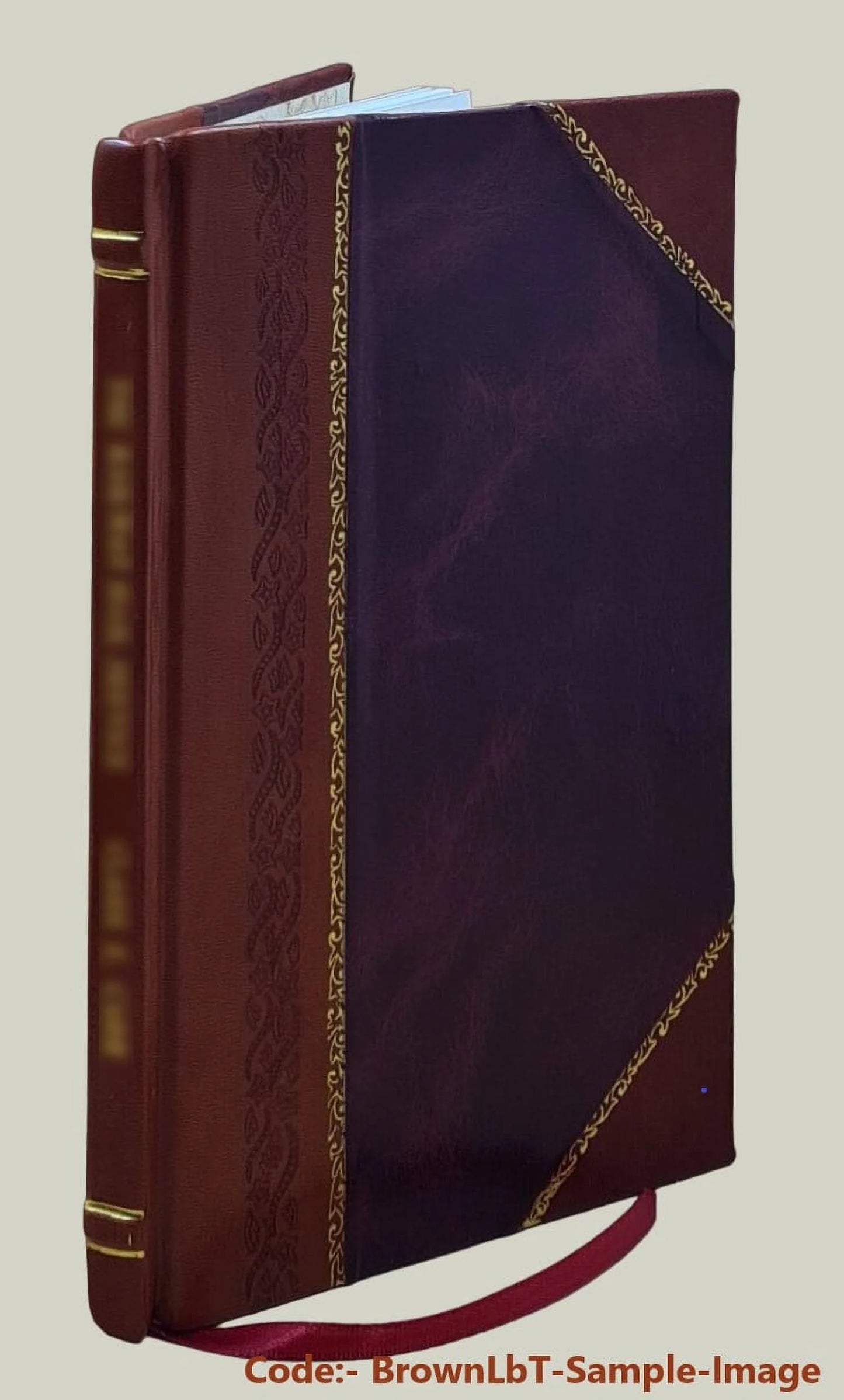 Acoustic neuroma : January 1986 through October 1991 : 1112 citations / prepared by Ronald L. Gordner, Roswell Eldridge, Dilys M. Parry. 1991 [Leather Bound]