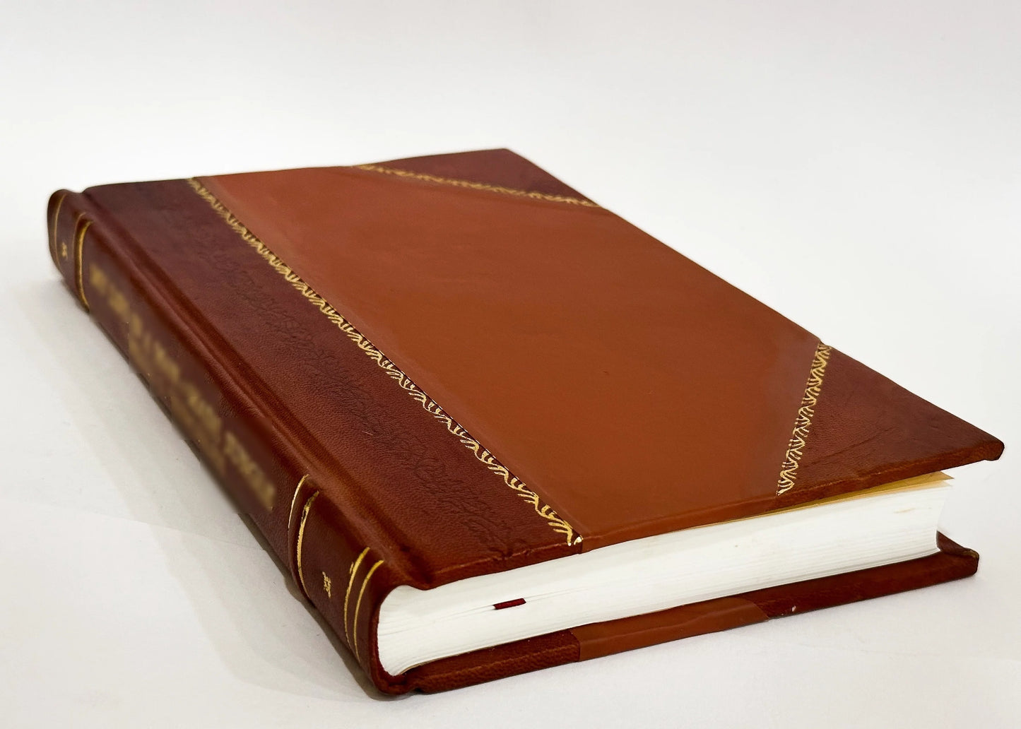 The Winona and Saint Peter Railroad Company, Plaintiff in Error, Vs. John D. Blake Et Al., Defendants in Error Appeal from the Supreme Court of Minnesota, Brief and Argument, (1875) [Leather Bound]