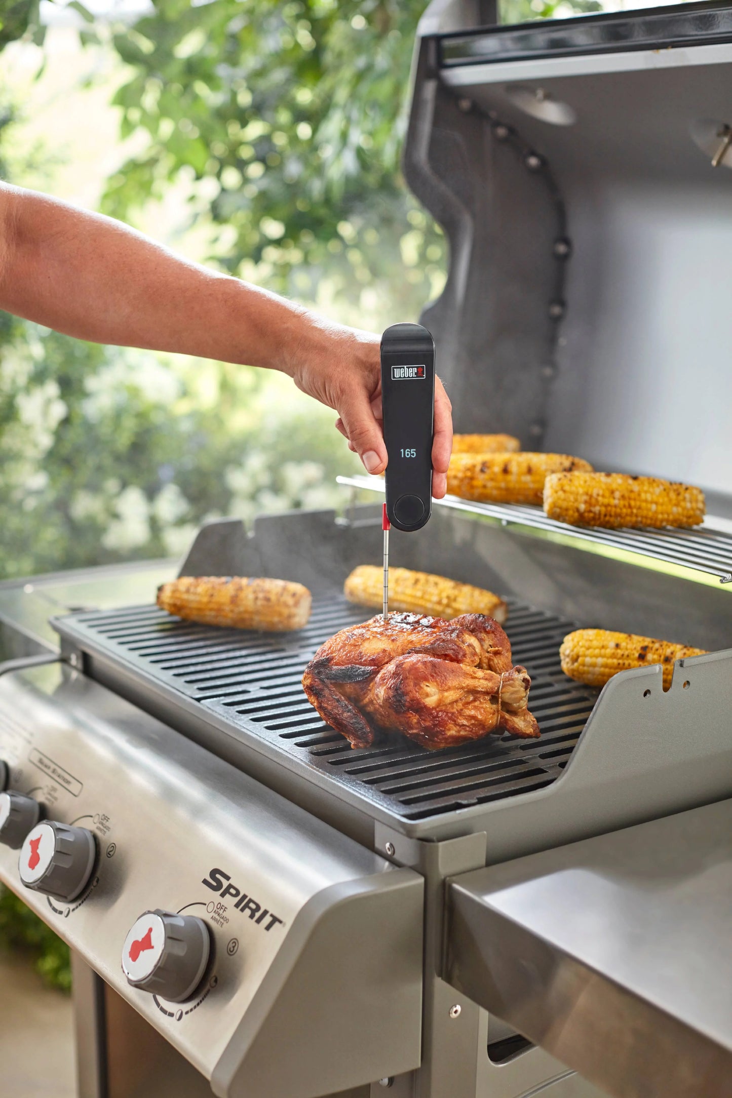 Weber Snapcheck Thermometer